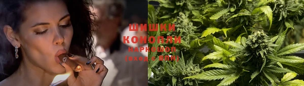 мдпв Верея
