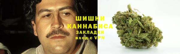 мдпв Верея