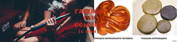 ПСИЛОЦИБИНОВЫЕ ГРИБЫ Верхний Тагил