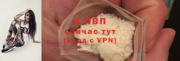 мдпв Верея