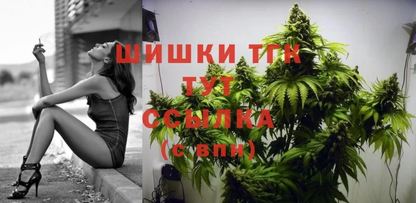 мдпв Верея
