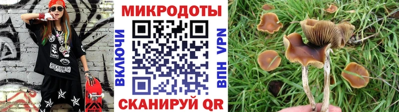 Купить закладки  Глазов  Псилоцибиновые грибы мухоморы 